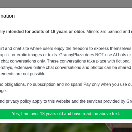 GrannyPlaza.com review